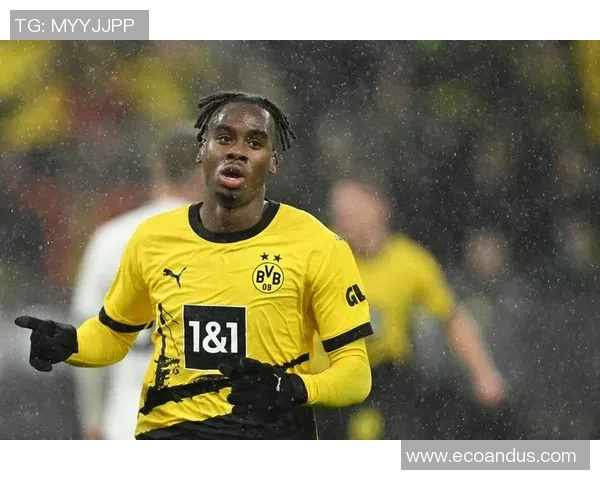 多特蒙德崛起的新星们如何引领未来足球的潮流与变革