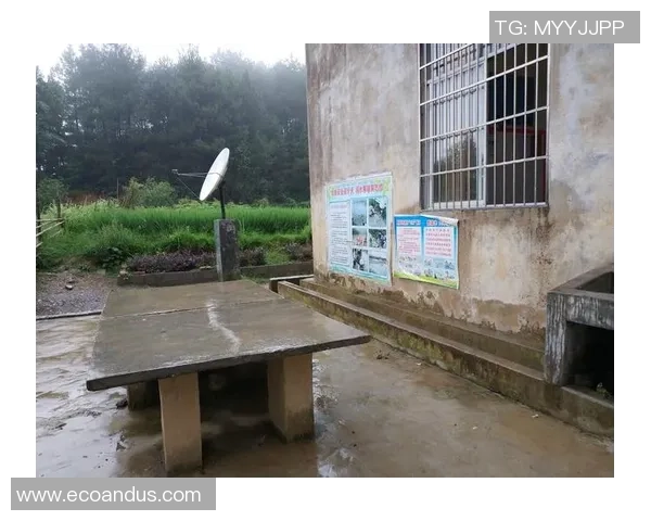 赵敏的乒乓球人生深度对话与成长历程的启示与反思