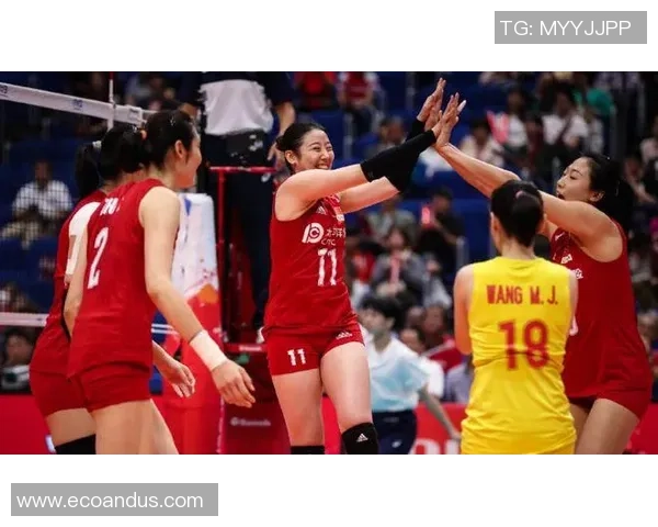 全国锦标赛最新积分榜揭晓西安排球队以56分稳居榜首位置