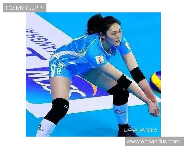 专业解读：成都排球队的运营打法