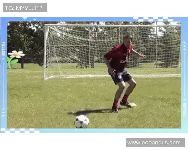 世界足球明星解说的魅力与技巧解析以及他们对比赛的独特见解