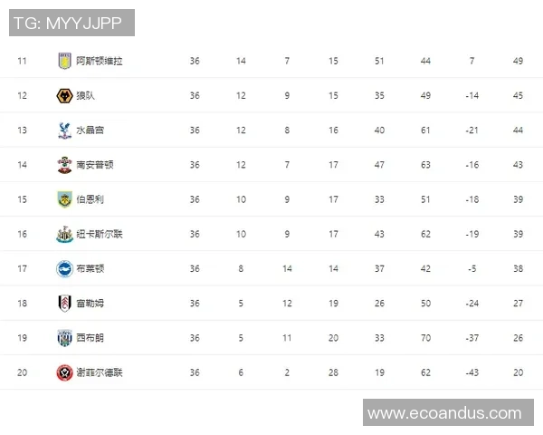 深圳篮球队实力分析与数据解读探讨其在联赛中的表现与潜力 深圳篮球队实力分析与数据解读探讨其在联赛中的表现与潜力