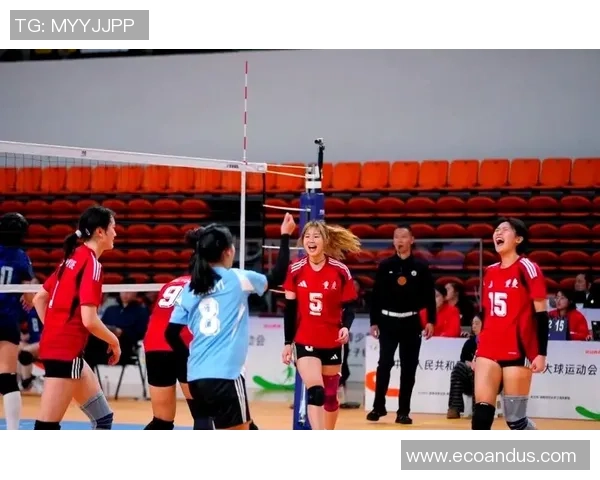 重庆排球队的团队协作之道:排球背后的默契与拼搏精神探秘 重庆排球队的团队协作之道:排球背后的默契与拼搏精神探秘