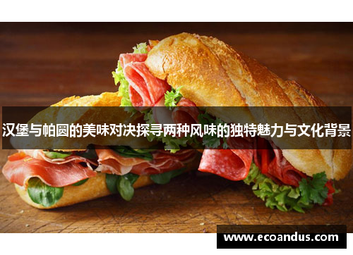 汉堡与帕圆的美味对决探寻两种风味的独特魅力与文化背景