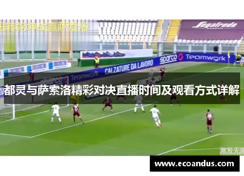 都灵与萨索洛精彩对决直播时间及观看方式详解